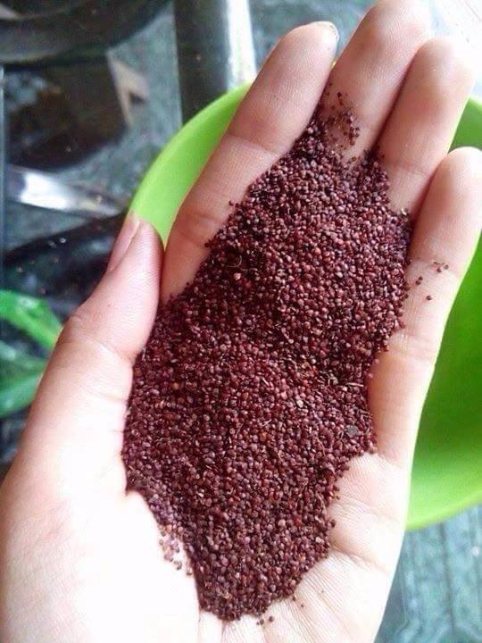 Hat Đình Lịch 200g Nguyên Chất
