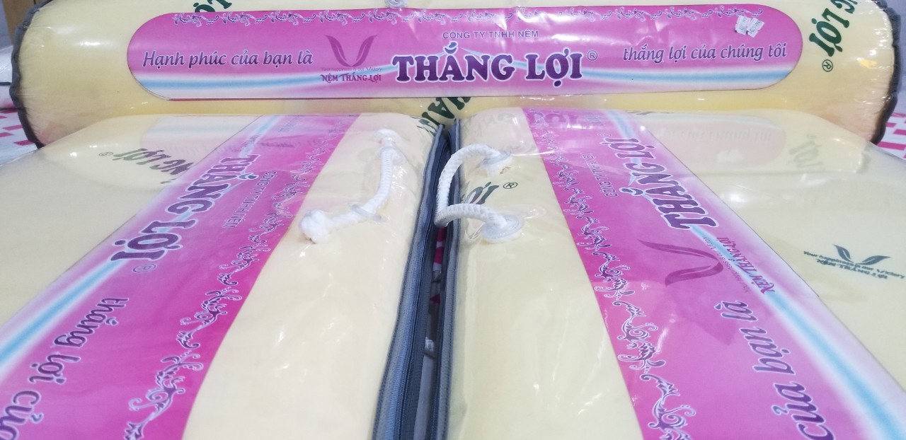 [HCM]Gối CAO SU NON THẮNG LỢI 40*60 Cao Cấp