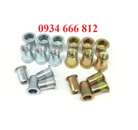Combo 100c Ốc tán rút M10 thép mạ