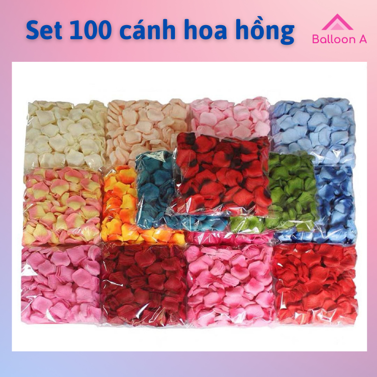100 Cánh hoa hồng