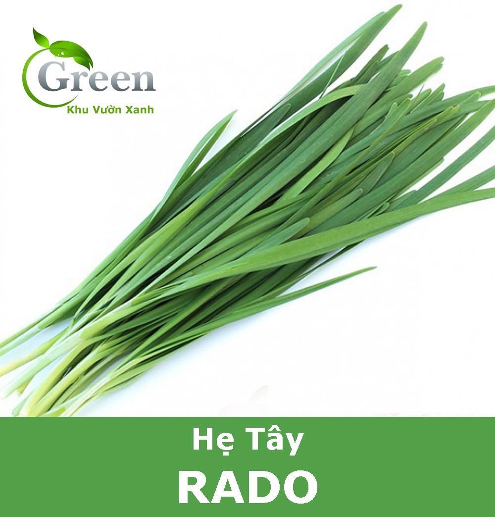 Hạt Giống Hẹ Tây Dễ Trồng Quanh Năm, Sinh Trưởng Khỏe (Gói 1 gam ~ 200 hạt)