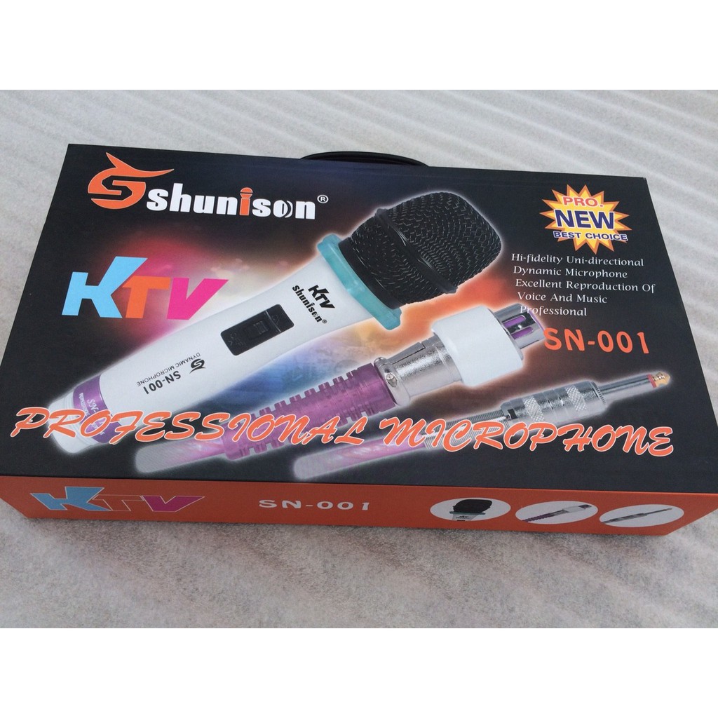 MICRO KARAOKE SHUNISON 001