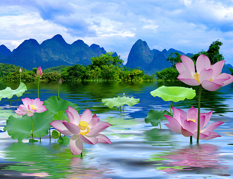 Tranh dán tường VTC Cảnh đẹp hoa sen HuiTu-1030-20141028212753689200 Kim sa