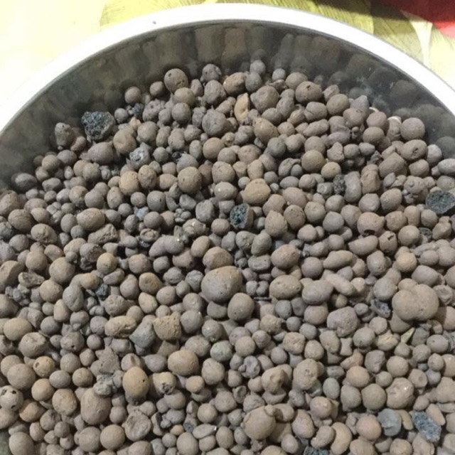 1 KG SỎI NHẸ (ĐẤT NUNG)