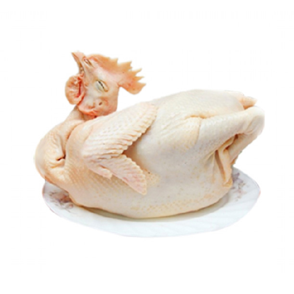 Gà ta Gò Công 1.1 - 1.3kg (con)