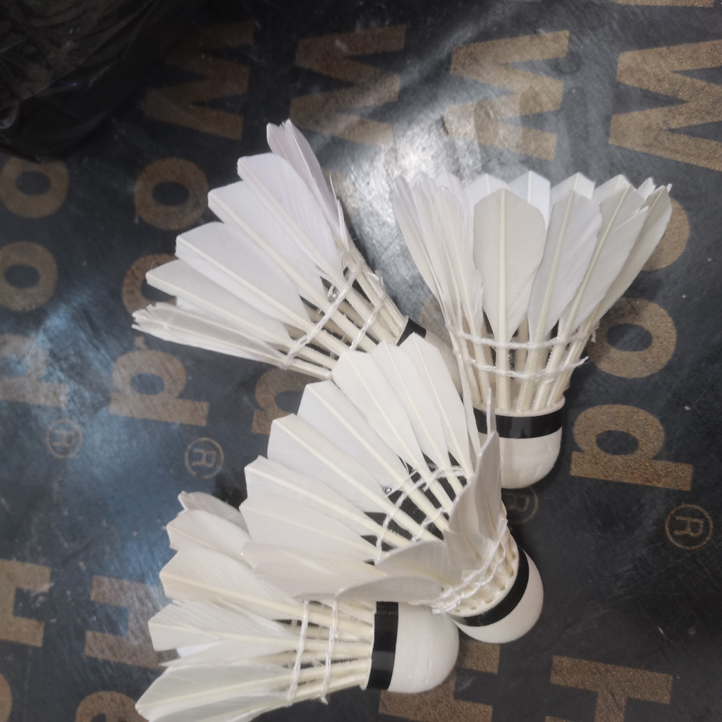 Cầu Lông HT.Sport Xanh - Ống 12 Trái (Chính Hãng LHT)
