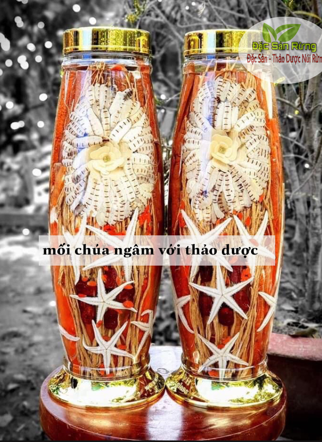 Mối Chú.a ( 10 Con Loại To ) - Bổ Thận  , Tăng Sly, Thảo Dược ĐSR