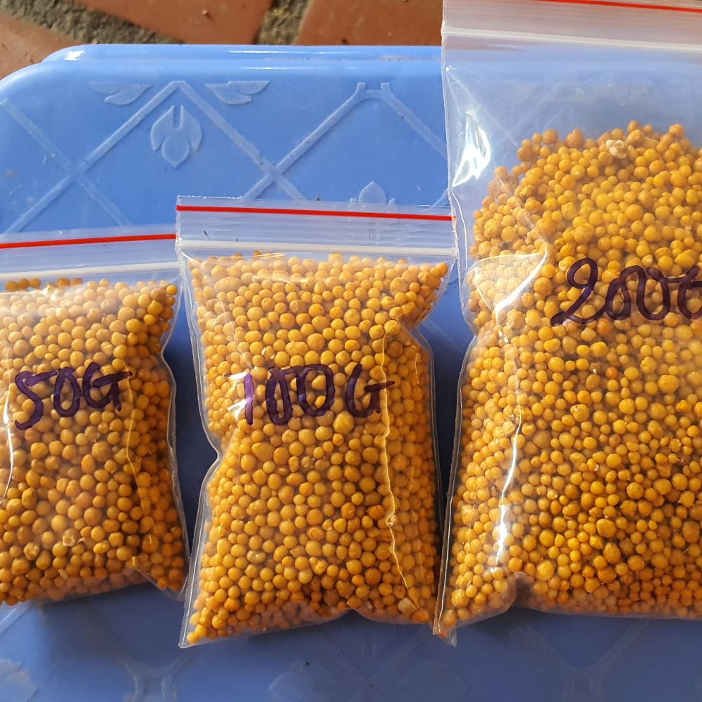 Phân tan chậm NPK 14 14 14 Oscomote NK Mỹ