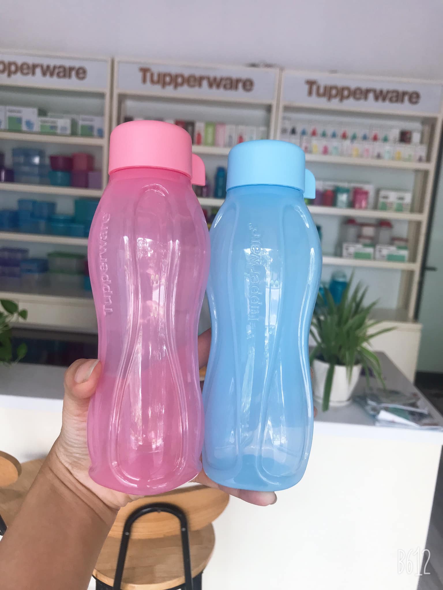 Bình nước Tupperware Eco Bottle 310ml
