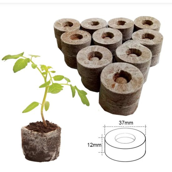 Viên nén xơ dừa ươm hạt giống