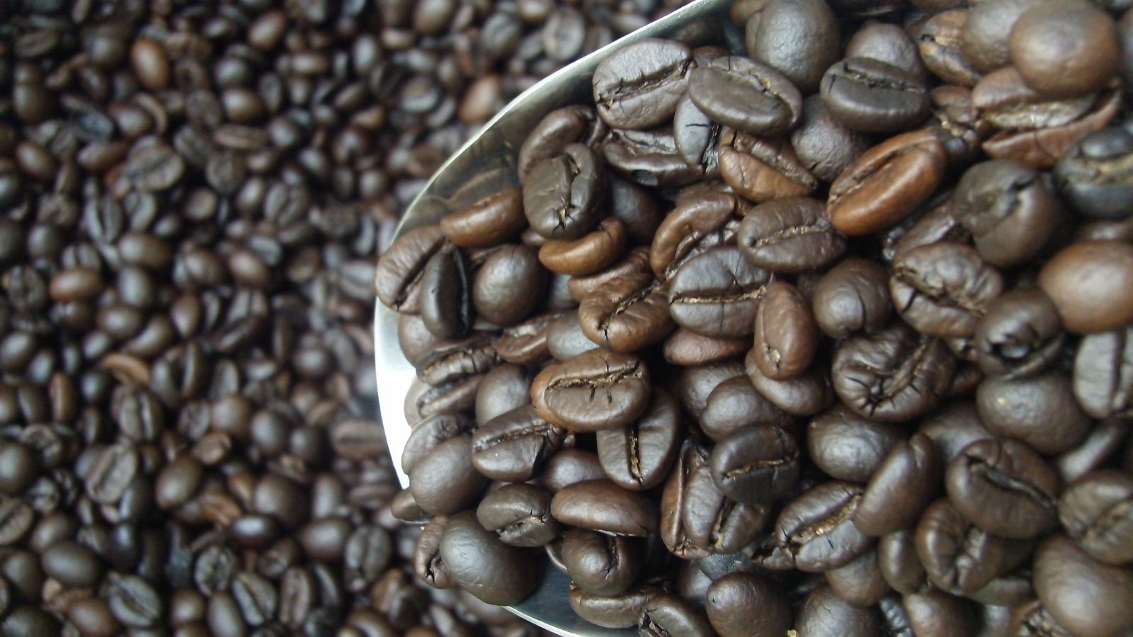 100% pure coffee (raw) bag 250gr