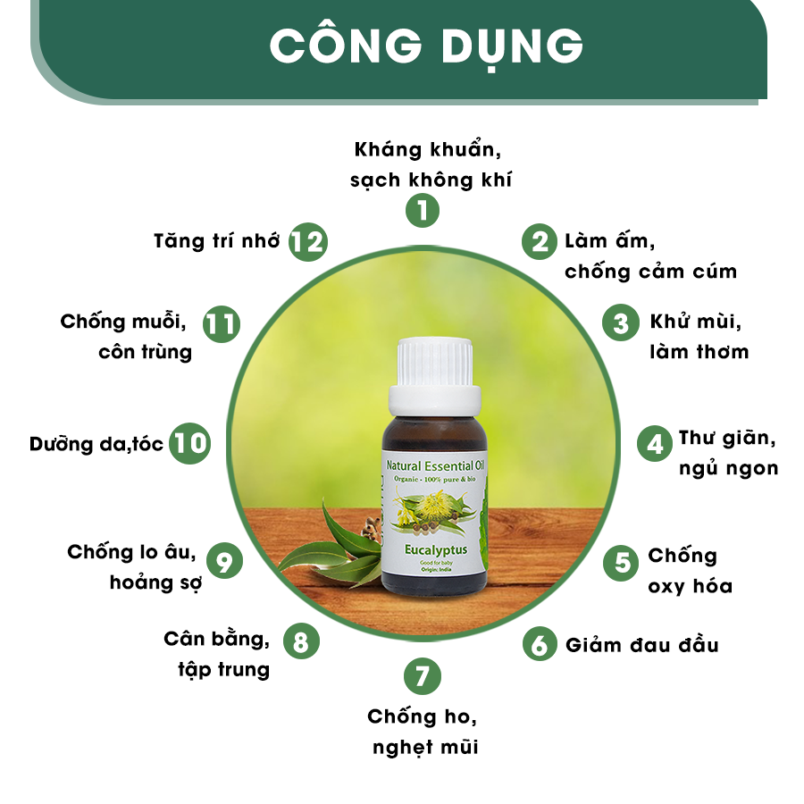 Tinh Dầu Aroma Khuynh Diệp Nguyên Chất  Eucalyptus - 10ml/15ml/30ml/50ml