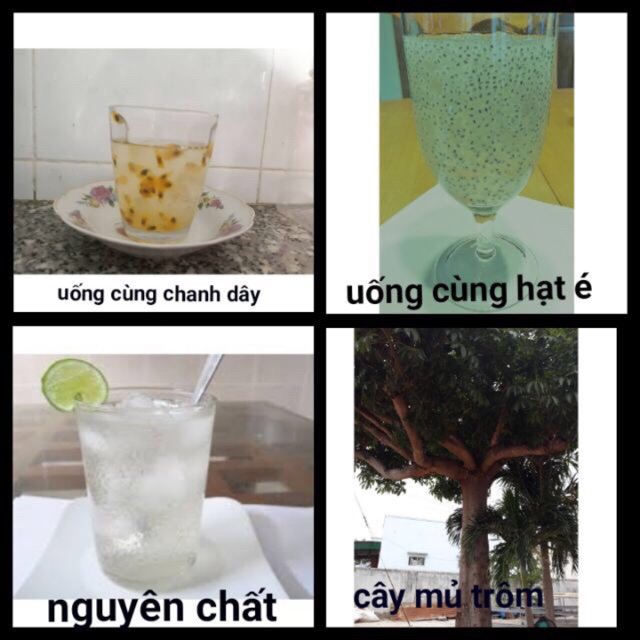 [HCM]Mủ Trôm Phan Rang|500G
