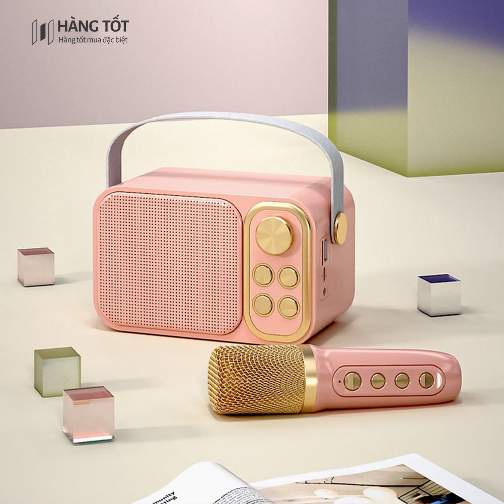 Loa Karaoke Mini Có Micro Bộ Micro Âm Thanh KTV Tại Nhà