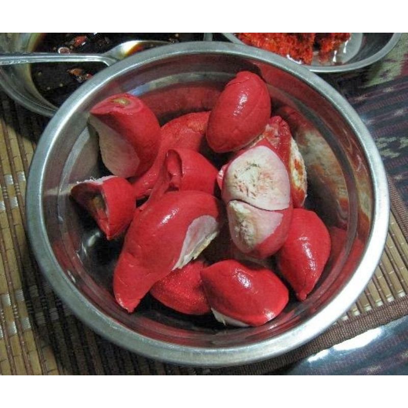 Cây giống sầu riêng ruột đỏ siêu sớm_trung tâm cây giống eakmat tây nguyên