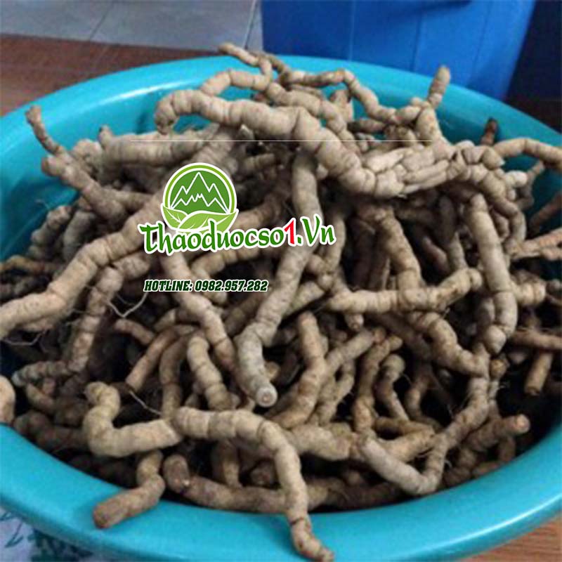 Ba kích tím hàng chọn - Hàng Chuẩn Bao chất