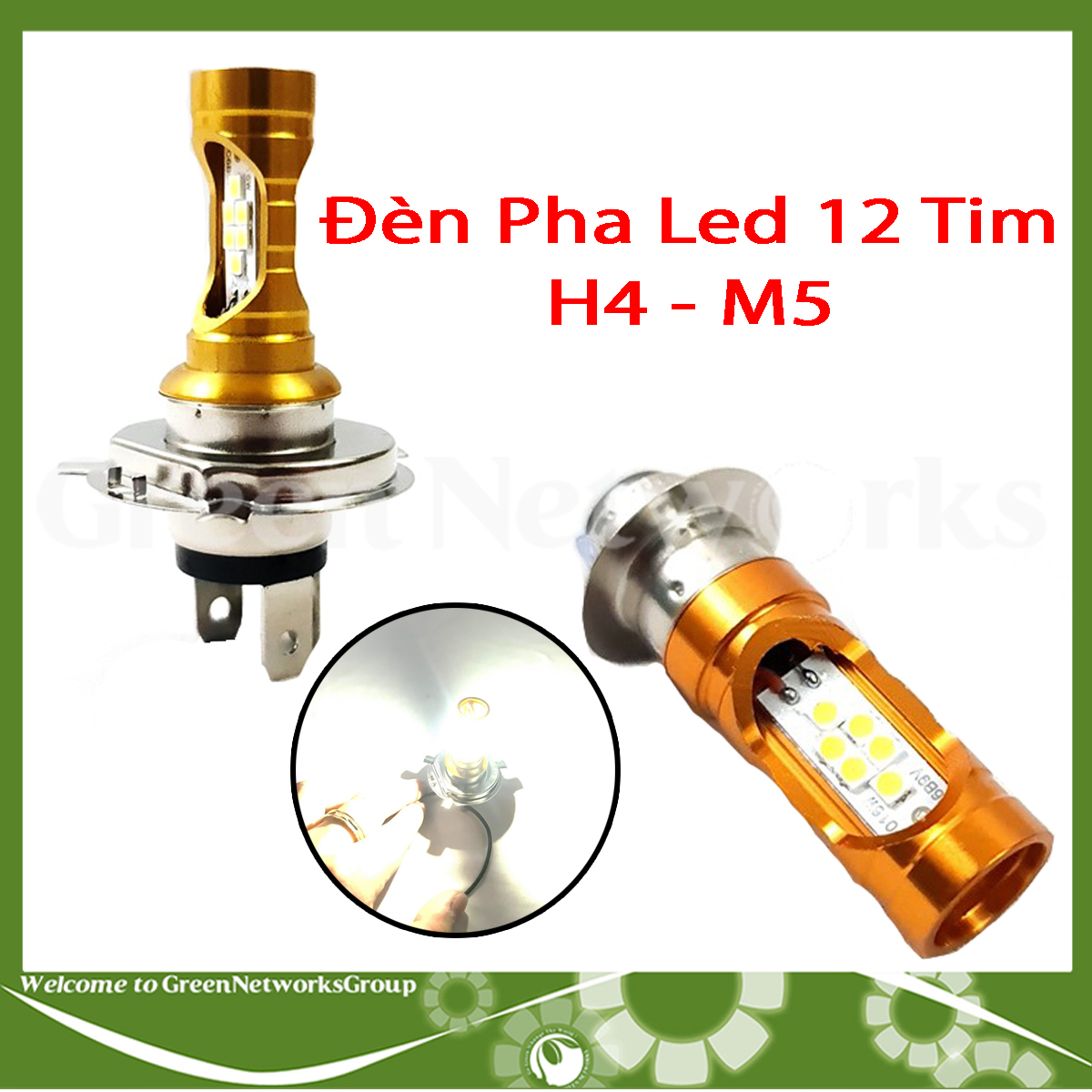 Bóng đèn led M5, H4