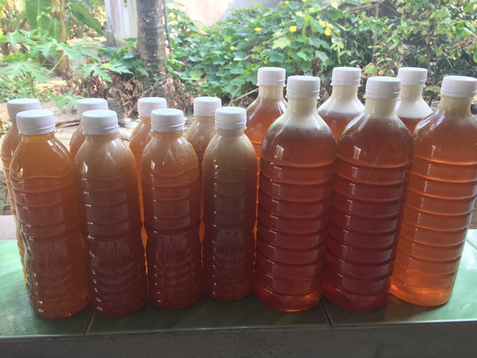 1 lít mật ong hoa nhãn loại 1 (cam kết giống chuẩn có bảo hành)