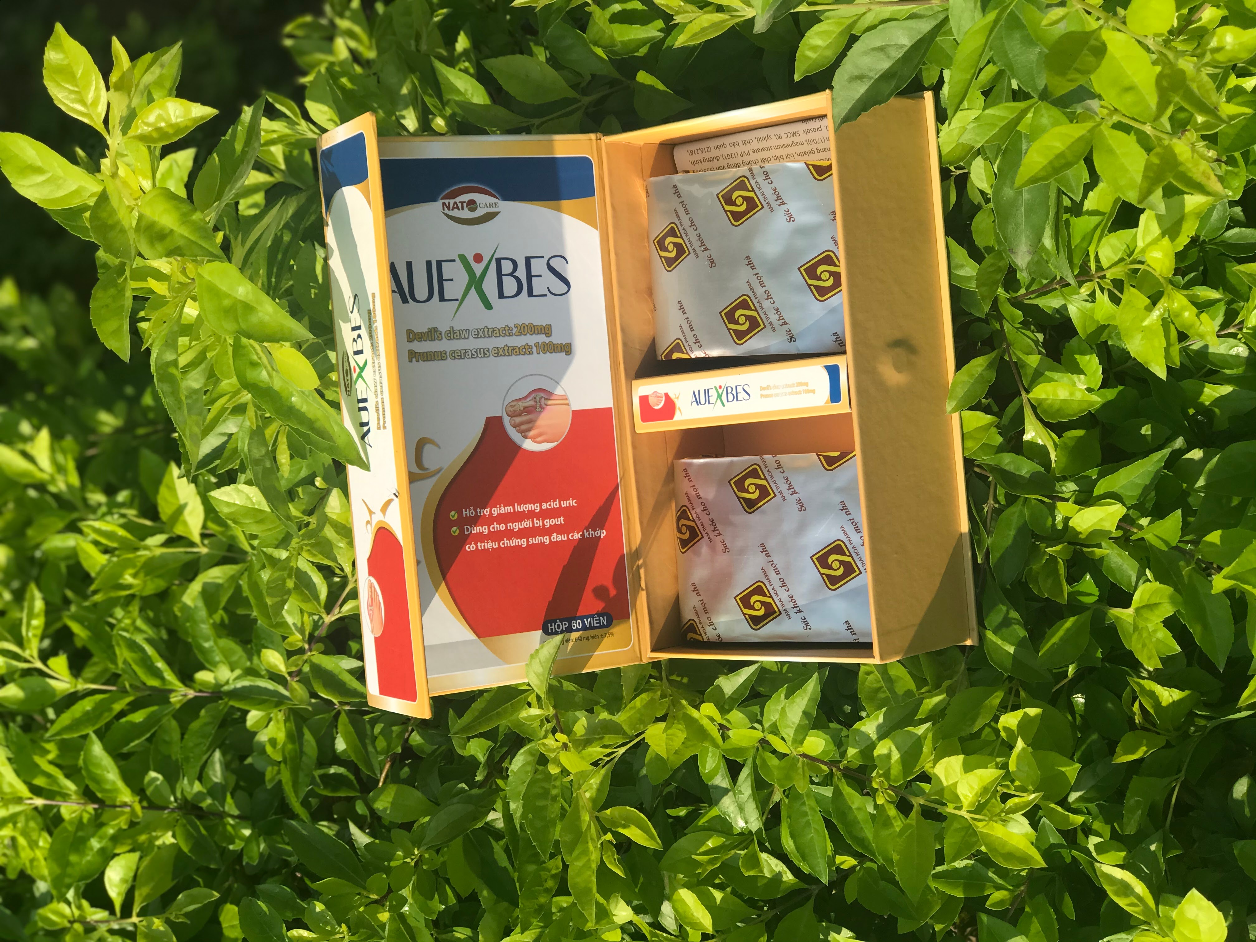 Hỗ trợ gút AUEXBES