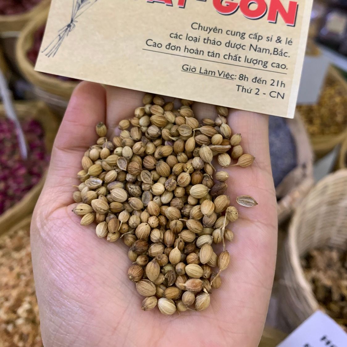 Hạt Ngò Khô 100gram (Gia vị nấu phở, ướp thịt, hạt thơm, mới)
