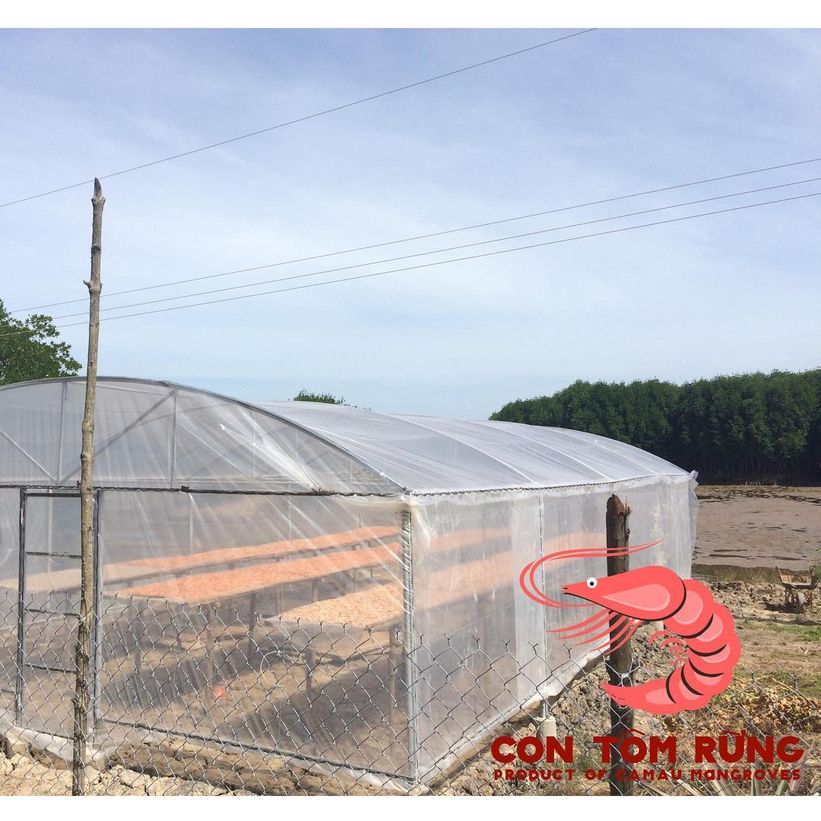 Tôm khô Cà Mau loại 1 Con Tôm Rừng