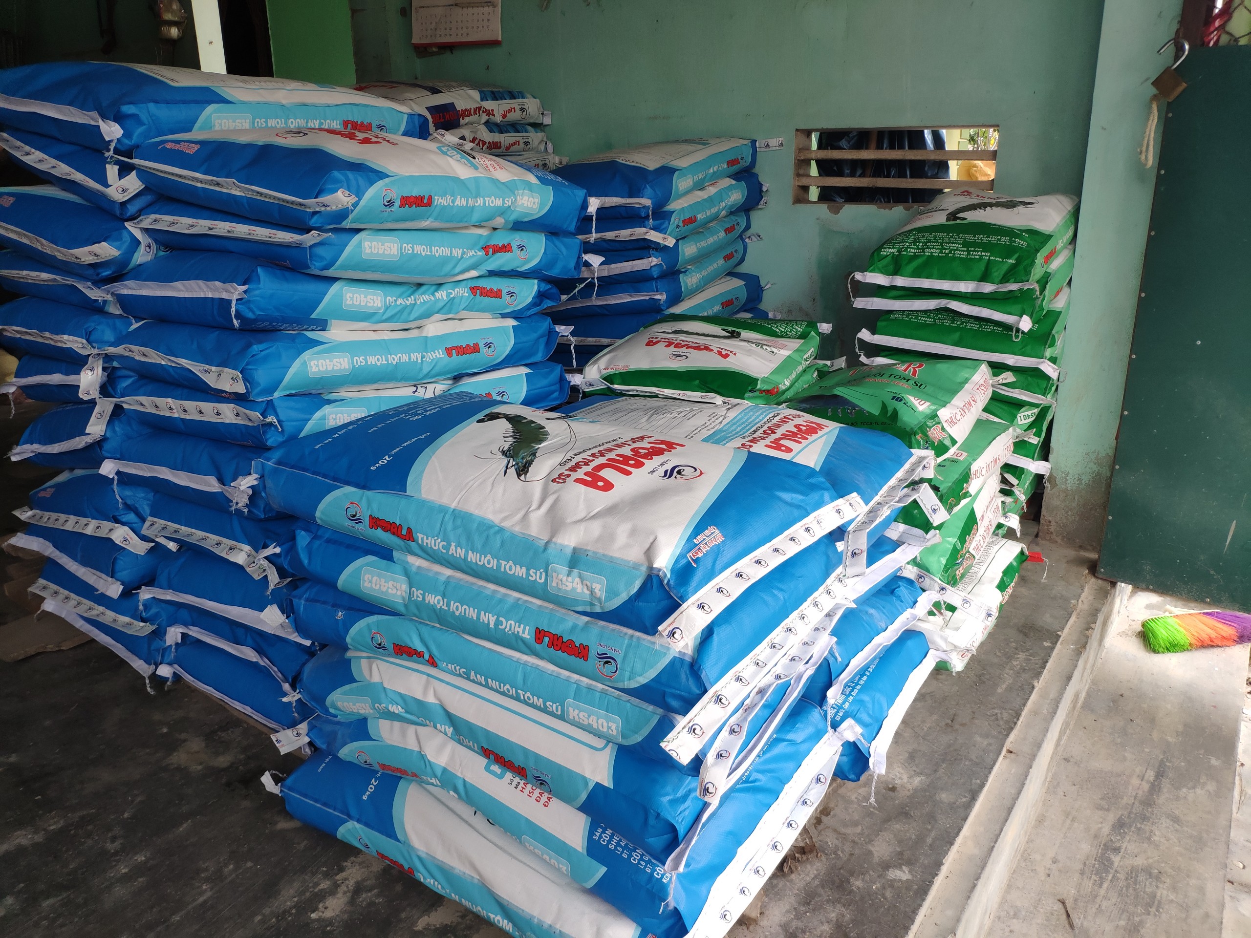 Bịch 100g thức ăn cho tôm, tép, cá cảnh... (hạt cỡ nhỏ 2/10)