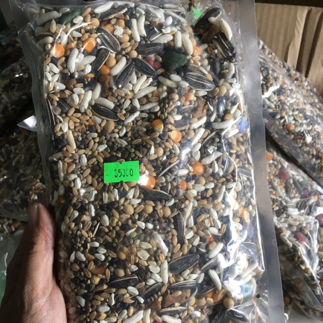 Thức ăn dành cho Gerbil Fat Tail