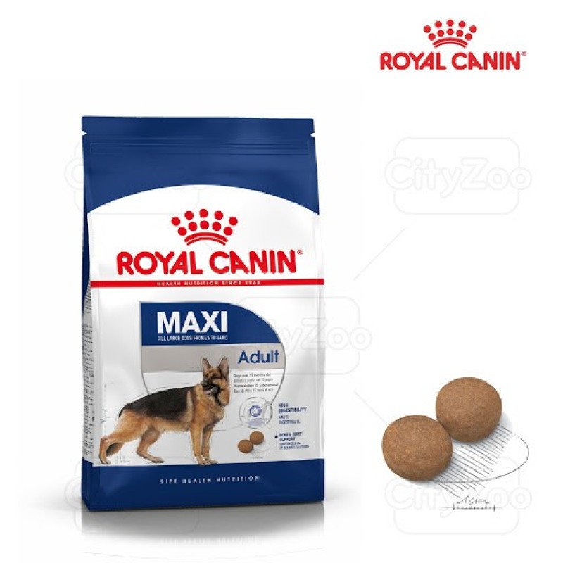 4kg Hạt Royal Canin Maxi Adult cho các dòng chó size lớn trên 15 tháng tuổi