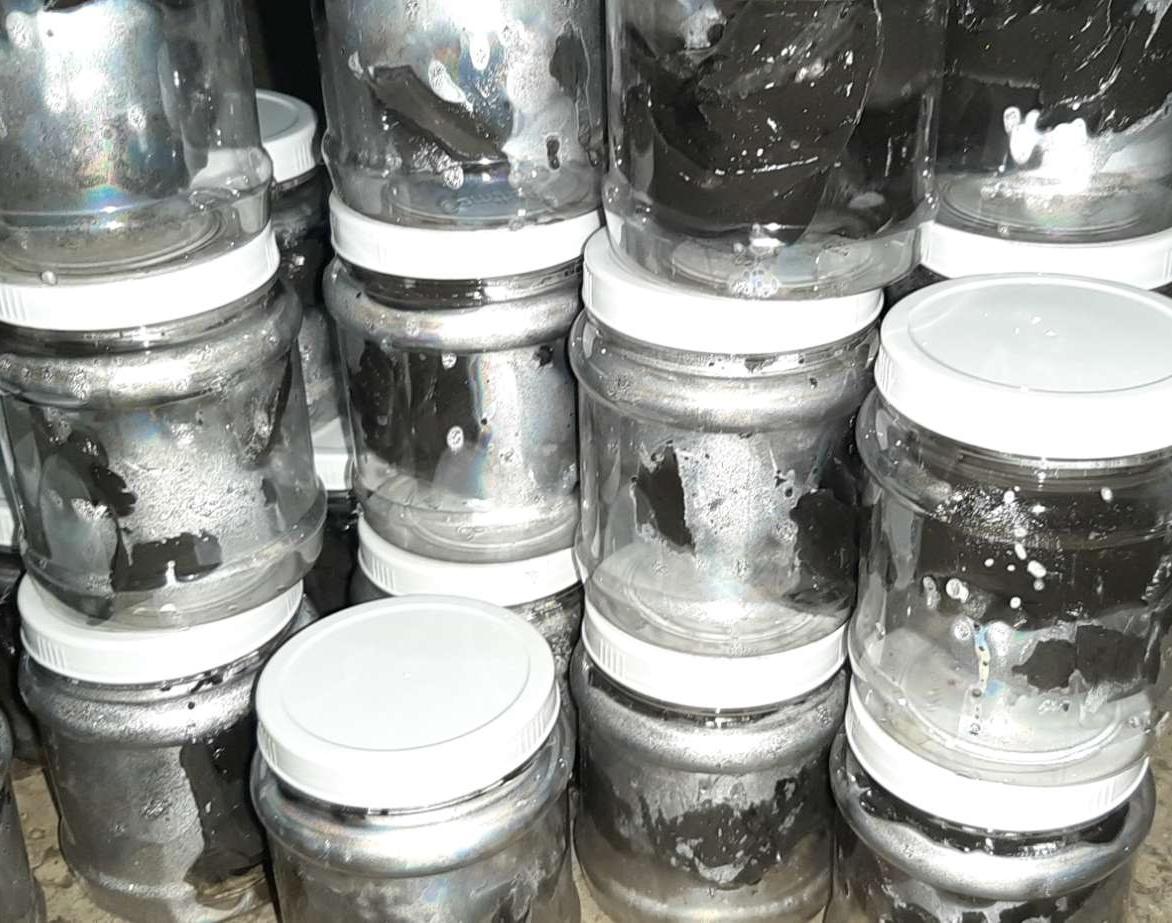 keo bẫy chim sẻ ,chòe chào mào..vv