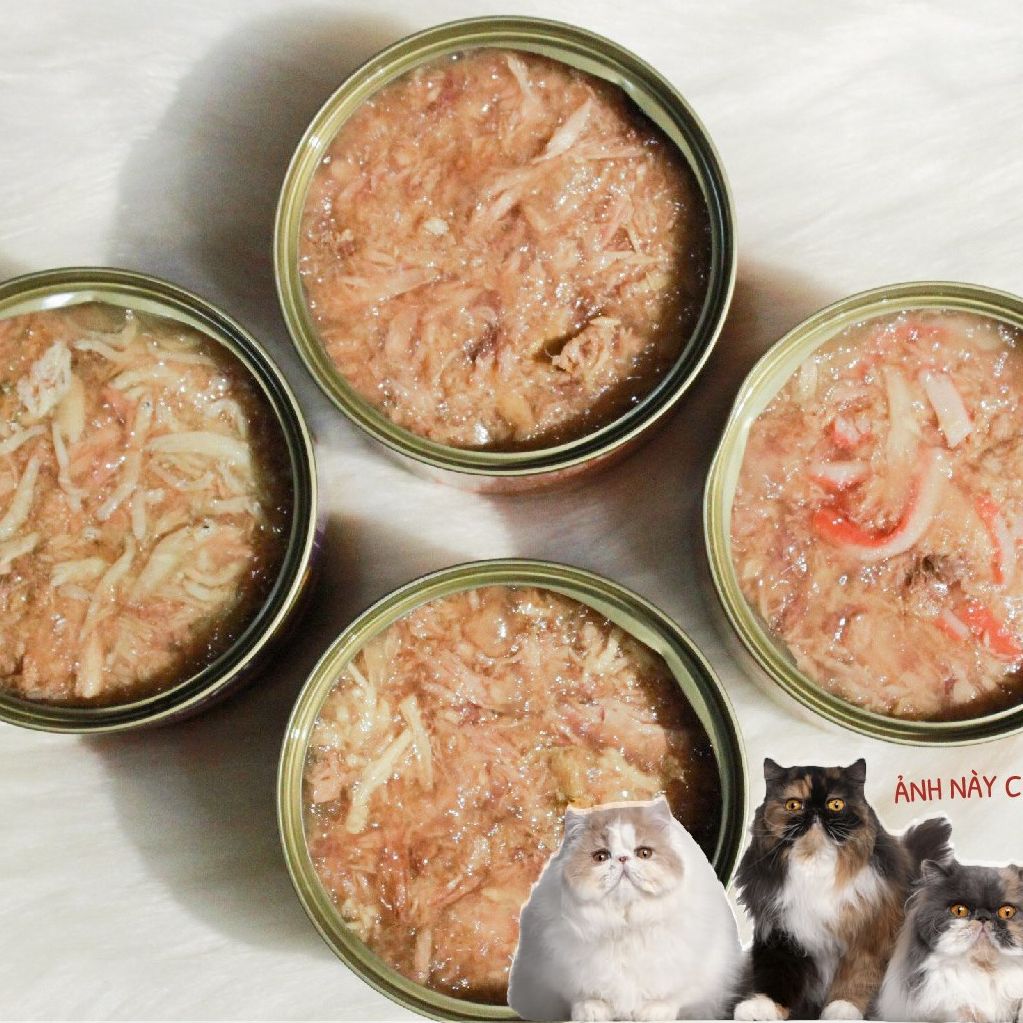 Pate Aatas cat cho mèo mọi lứa tuổi
