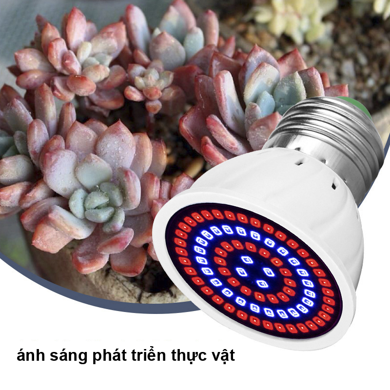 Bóng Đèn Trồng Cây 80 Led E27 220V