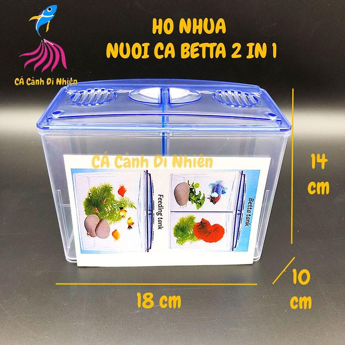 Bể nhựa nuôi cá betta mini 2 in 1, hồ cá để bàn size 18x14x10 cm