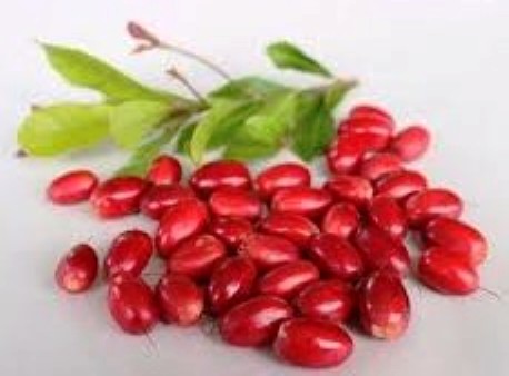 5 TRÁI cây thần kỳ (CHÍN, ĂN ĐƯỢC)