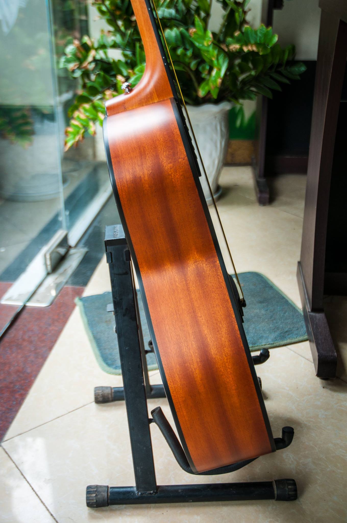 Đàn Guitar Acoustic Rex RD1C-NM Cao Cấp