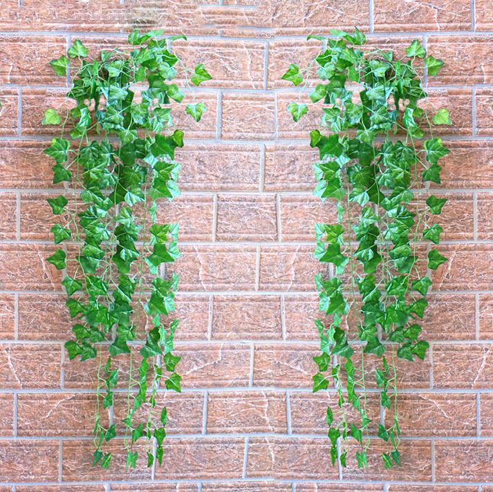 Rủ lá thường xuân treo tường dài 1m