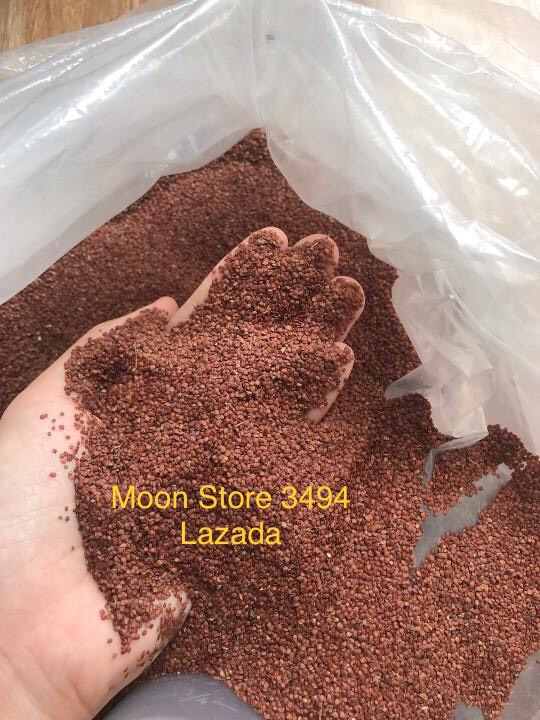 Hạt ngũ hoa - Hạt đình lịch đắp mặt nạ 500g