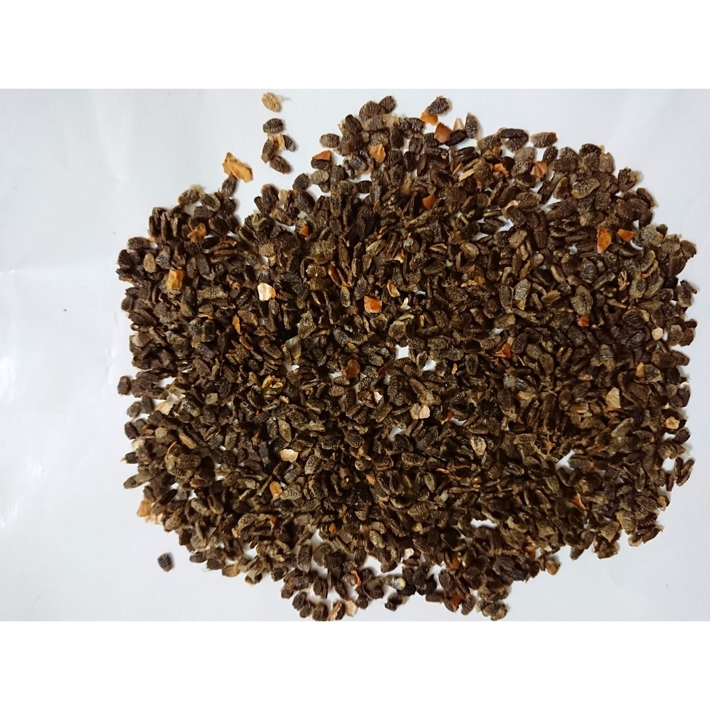 Gói 50 hạt giống dây Nhãn Lồng độ nảy mầm cao, rất dễ trồng