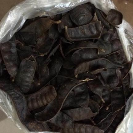 500g bồ kết khô