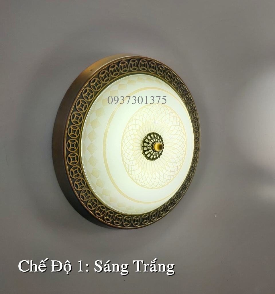 Đèn ốp Trần Cao Cấp Y018 Ánh Sáng Led 3 Chế Độ