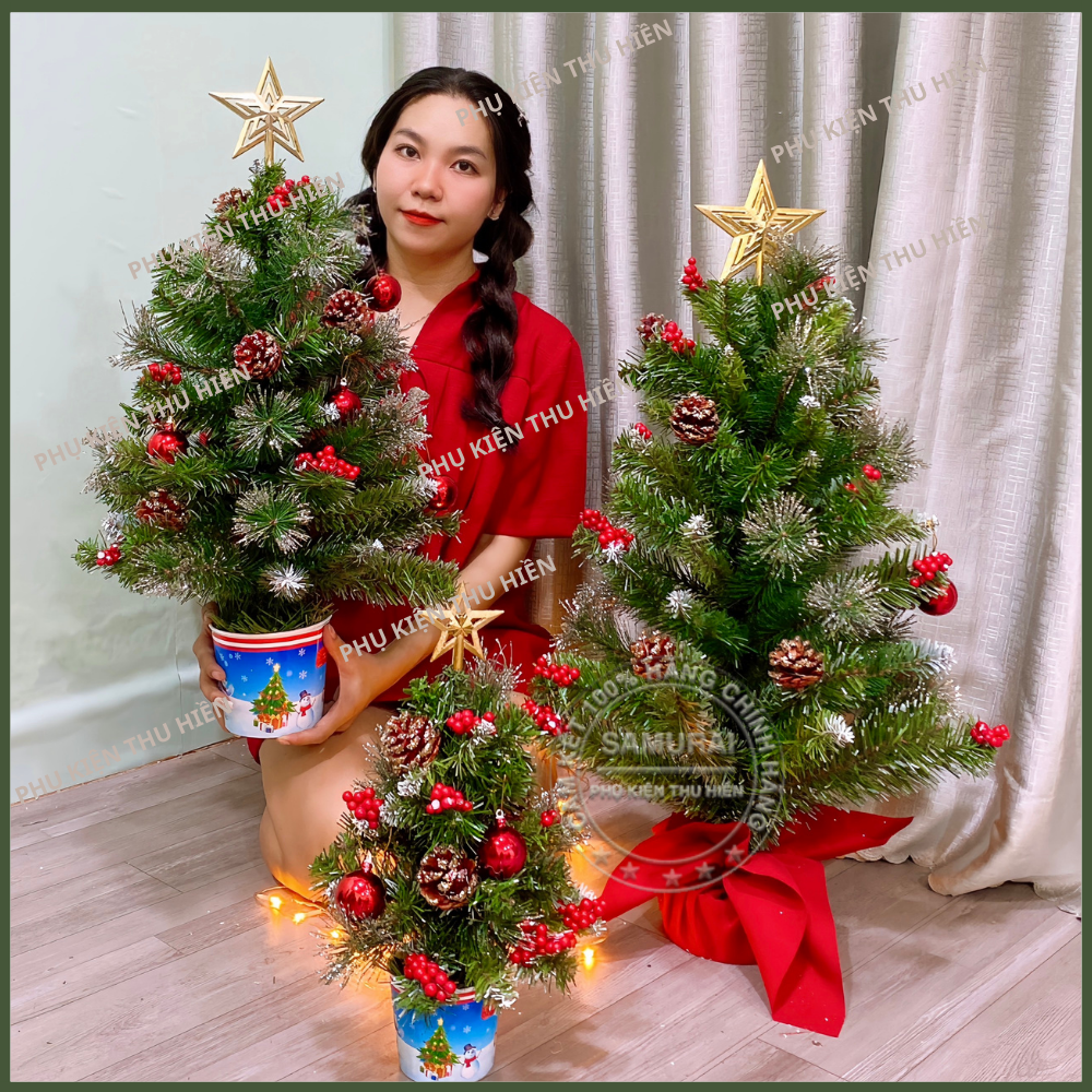 Cây Thông Noel Để Bàn 60cm Trang Trí Giáng Sinh 3 Loại Lá Gắn Trái Thông Có Trang Trí Và Ngôi Sao Đỉnh LP-TN2-3LL