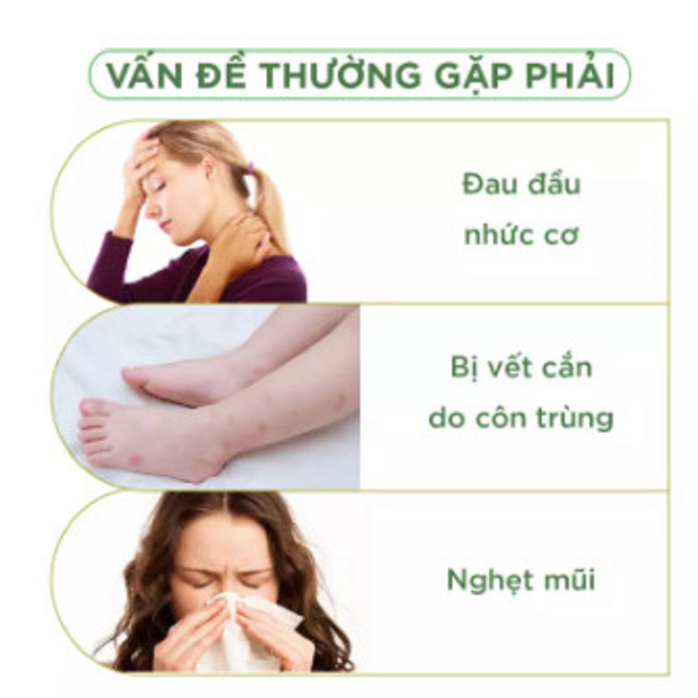 (8ml) Dầu Gió Con Lăn Thảo Dược Sâm Thái Lan Green Herb Oil