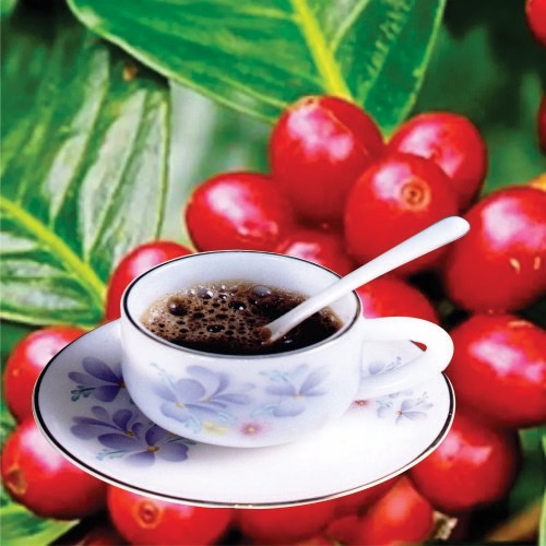 Cà phê hạt xay nguyên chất PHA PHIN_ 500 gr