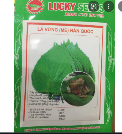 HẠT GIỐNG VỪNG (MÈ) HÀN QUỐC
