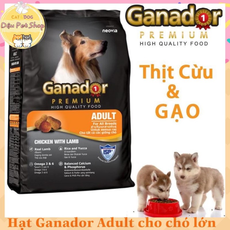 Thức Ăn Hạt Ganador Premium Cho Chó Lớn 400G