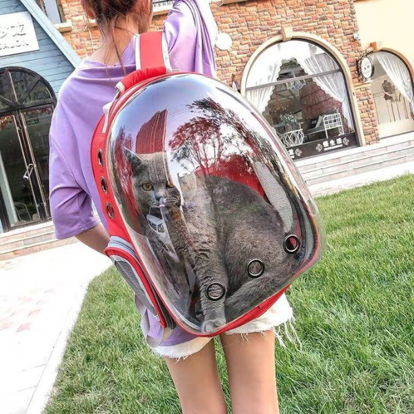 Balo Chó Mèo Phi Hành Gia Trong Suốt