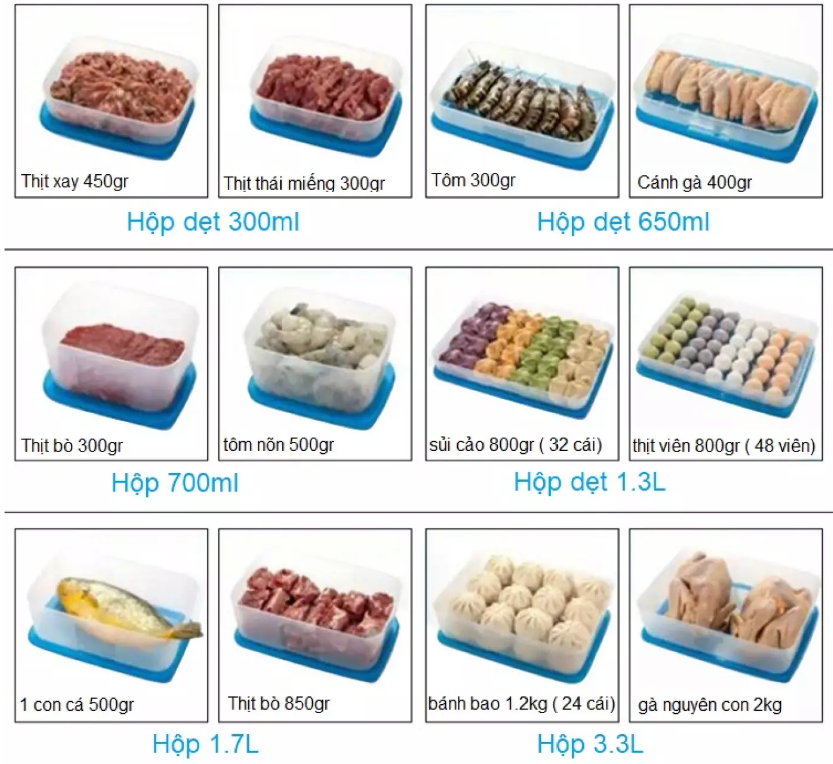 Hộp trữ đông dẹt 650ml Tupperware (set 4 hộp)