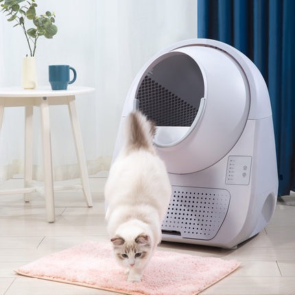 Máy dọn phân mèo tự động CATLINK phiên bản young không wifi