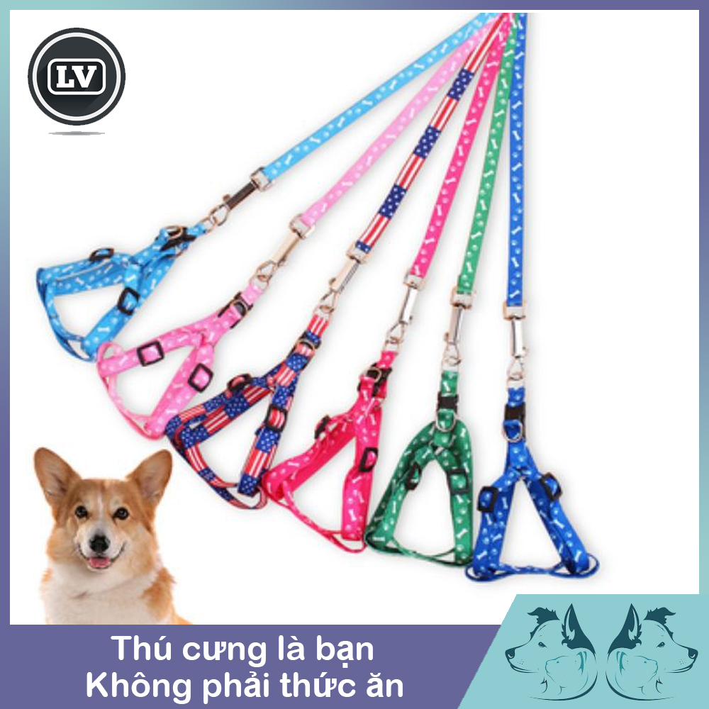Dây dắt yếm cho chó mèo dưới 4kg giao màu ngẫu nhiên- Phụ kiện Long Vũ