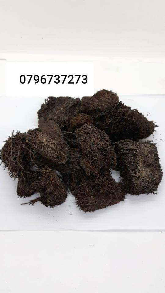 1kg Dớn vụn trồng lan
