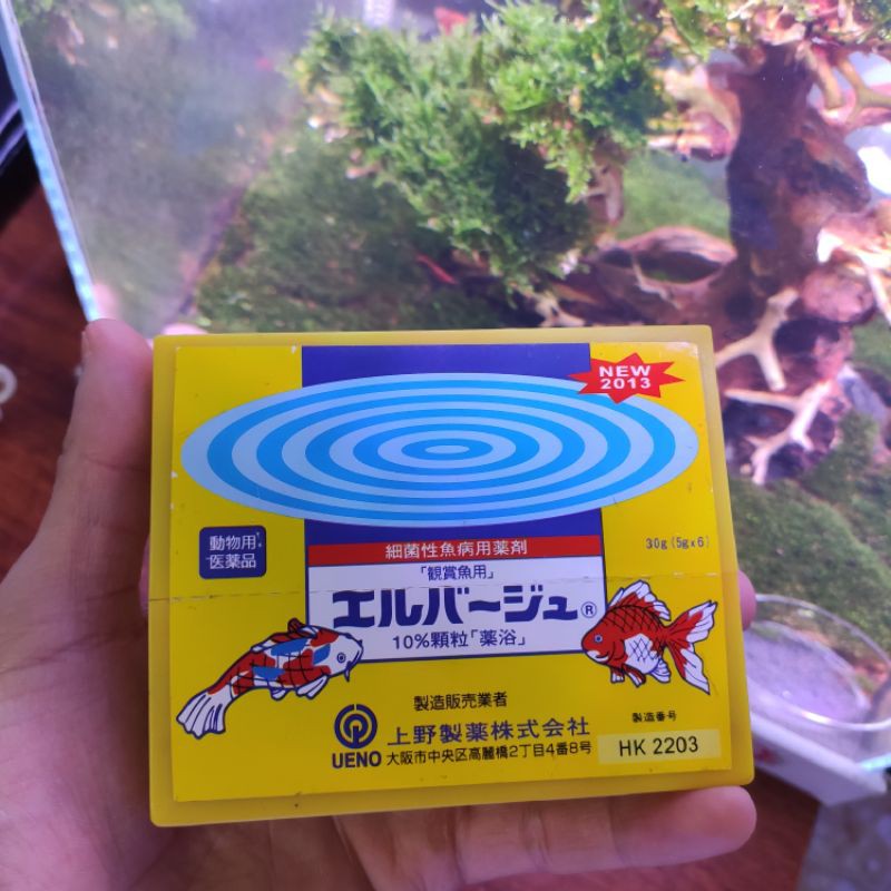Tetra diệt nấm cho cá cảnh